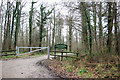 Entrance to Tugley Wood, Fisher Lane