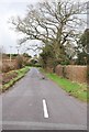  : Lane in Swallowcliffe by Toby