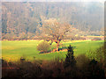 Field in the bow of the Wye River