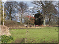 Horses eating hay near Manston Church