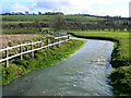 River Og, Ogbourne St Andrew, near Marlborough 11.02.2007