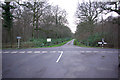 Entrance Drive, Bignor Park