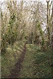 SY8898 : Bridleway to Great Coll Wood by Brian Ironside