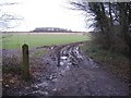 ST9297 : Track to Hazleton Manor farm by Roger Cornfoot