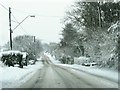 Black Lion Road after freak snowfall