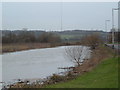 Riverbank in Tamworth