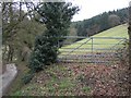 Field Gate and Forestry