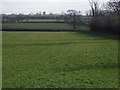 SP7532 : Farmland near Thornborough by Andrew Smith