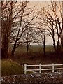 Bridleway at Wellow