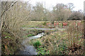 Stream leaving Pheasant Copse