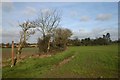 Footpath to Hinderclay