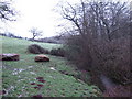 Footpath to Coed Garw