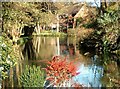 River Test at Romsey