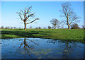 Flooded field, near Woodcott House