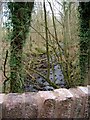 The Bowhill Burn at Jocklan Bridge