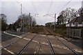 Cleghorn Level Crossing