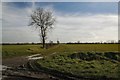 Footpath to Haughley Green