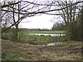 SK9594 : Pond at Blyborough Grange by Jonathan Billinger