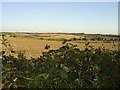 View over fields to Whiston