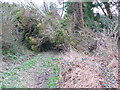 Blocked Footpath at Sedlescombe