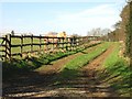 Horses in paddock and track near Sixmile