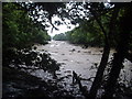 Creek at low tide