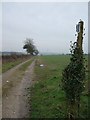 Bridleway on Toller Down