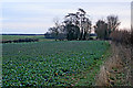 Farmland off the A52