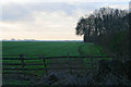 Farmland off the A52