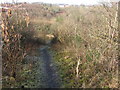 Clyde Walkway near Craighead