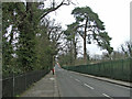 Bush Hill looking north, N21