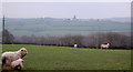 Looking towards Parkham from Horns Cross