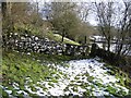 Footpath below Alyn Bank