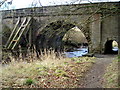 Disused Bridge Over Calder Water