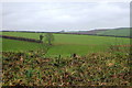 View North East from Tencreek Farm Gate