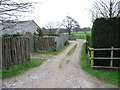 Track through Pear Tree Farm