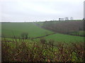 View across valley near Hessenford