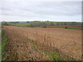 Fields adjacent to Wilton Farm