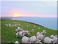 Sunrise over Whitsand Bay