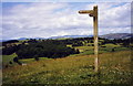 View to the west from Moelydd