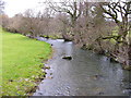 The Cynllaith looking north from Pont-y-Glascoed