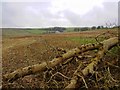 Wick Down Farm, Wick Down, Wiltshire