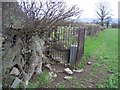 Memorial Stone near Llangwyfan #1