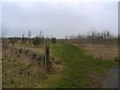 Community Woodland