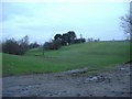 Bristnall Fields Golf Course