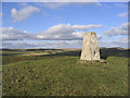 Wiltonburn Hill trig point