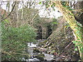 Afon Caledffrwd emerging from the mill wheel tunnel at Melin Sam