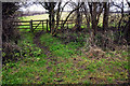 Gate in the hedge, Charlton - Croughton