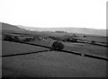 Small farms near Wardle, Lancashire