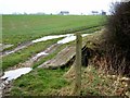 Farm track near Gunnersvale Farm